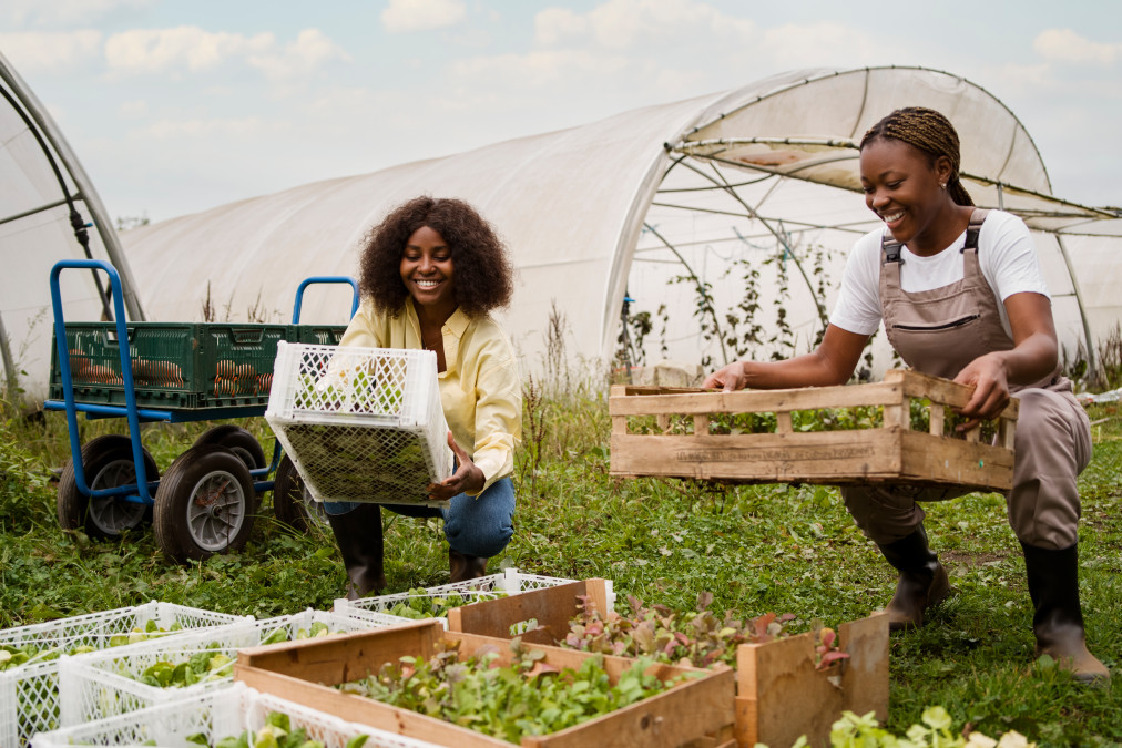 vae agriculture article 04082025